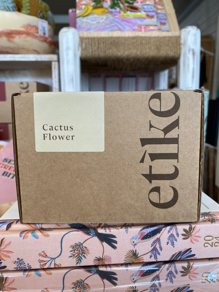 Meeniyan - Cactus Flower Double Wick 500ml
