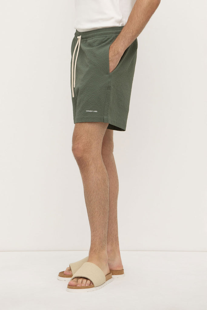 Seth Swim Short Hollow