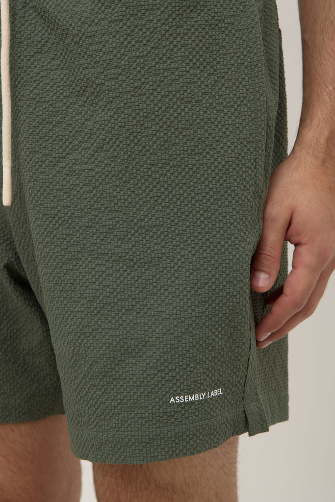 Seth Swim Short Hollow