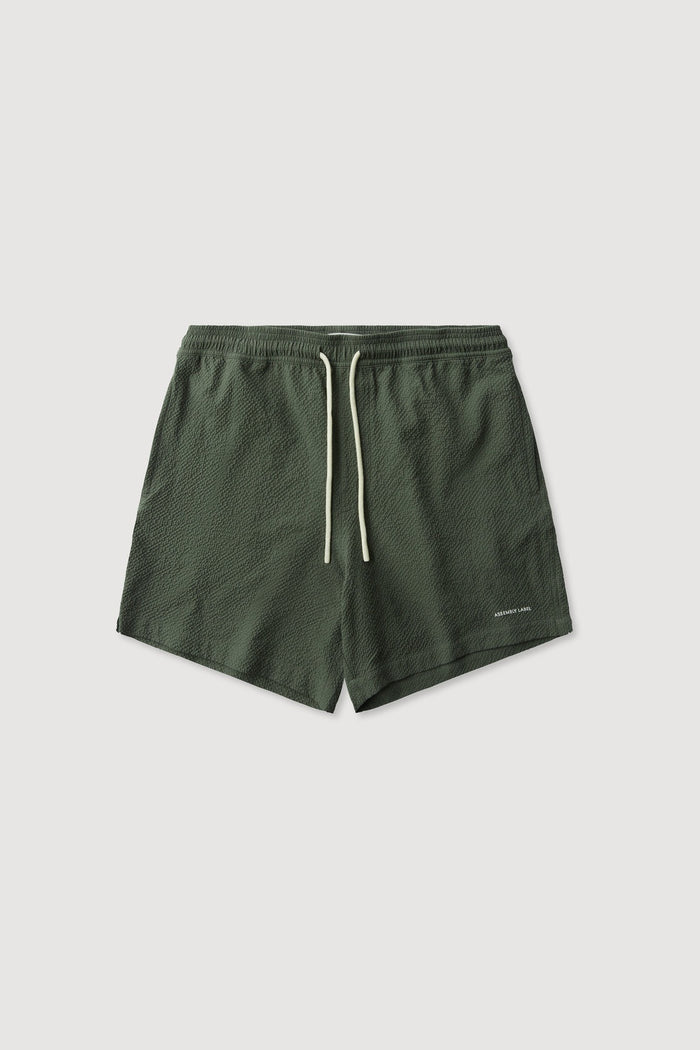 Seth Swim Short Hollow