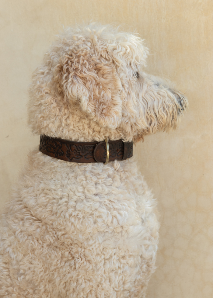 Sumba Collar - Vintage Brown