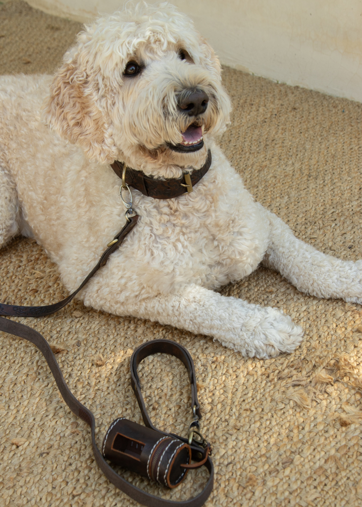 Sumba Lead Vintage Brown