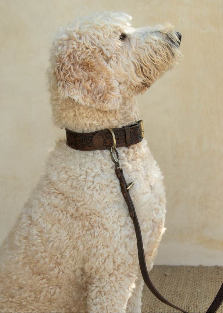 Sumba Lead Vintage Brown