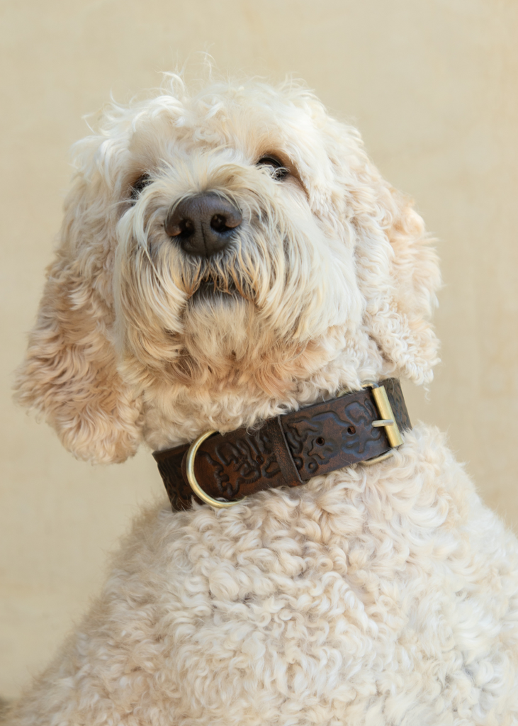 Sumba Collar - Vintage Brown