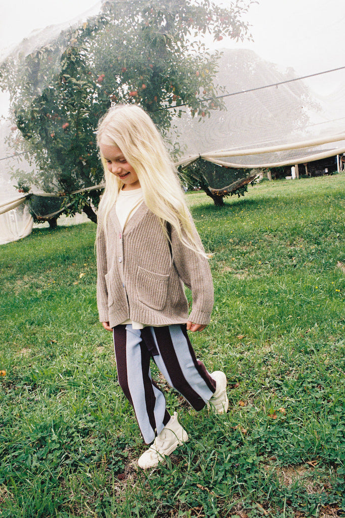 Organic Striped Knit Pants Plum and Haze