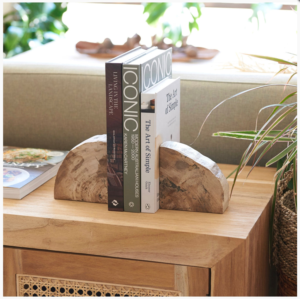 Acadia Petrified wood book ends