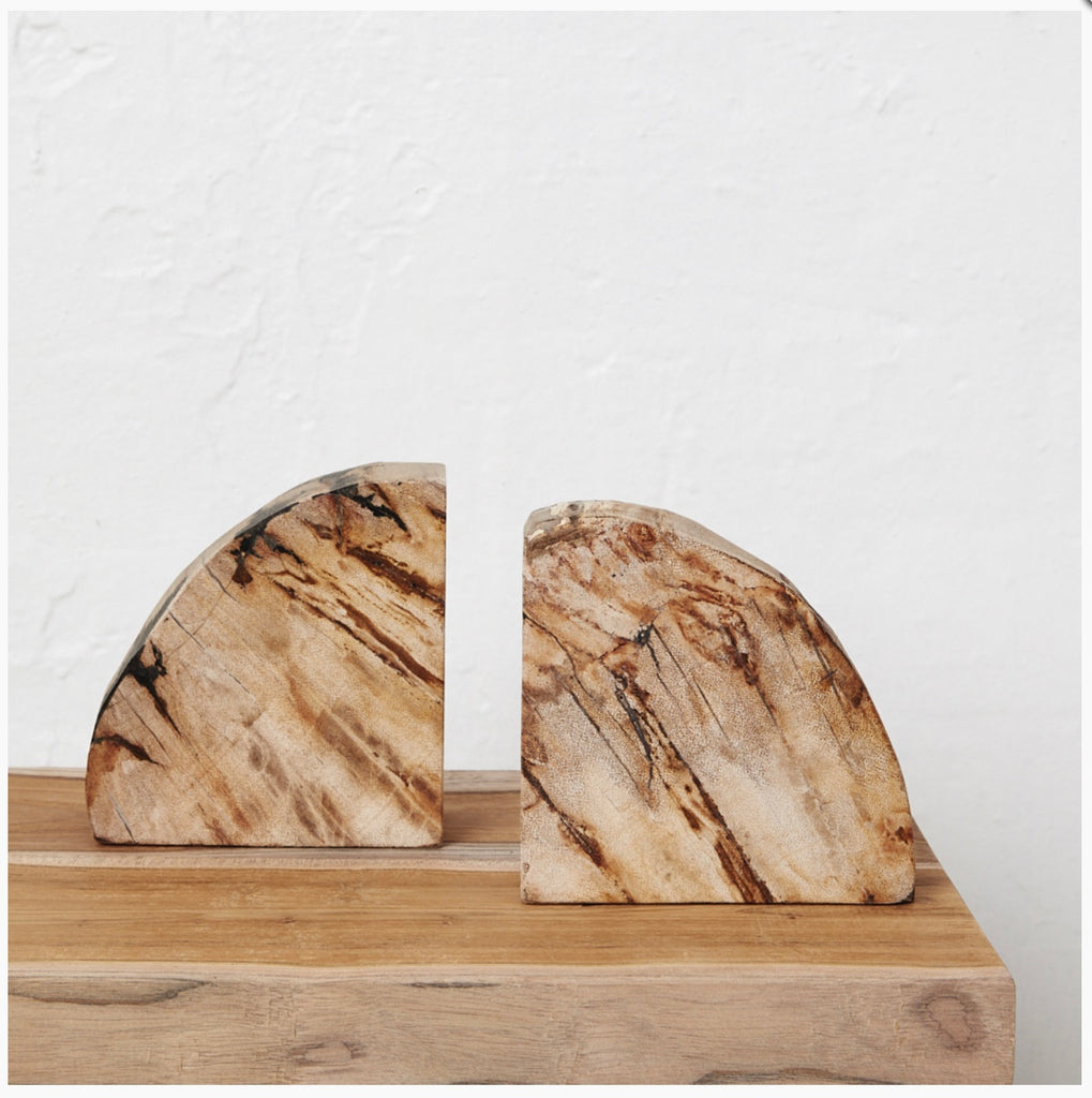 Acadia Petrified wood book ends