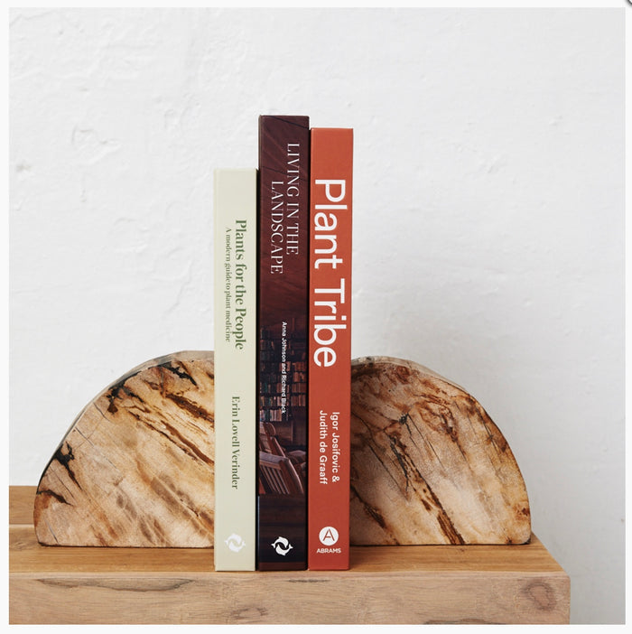 Acadia Petrified wood book ends